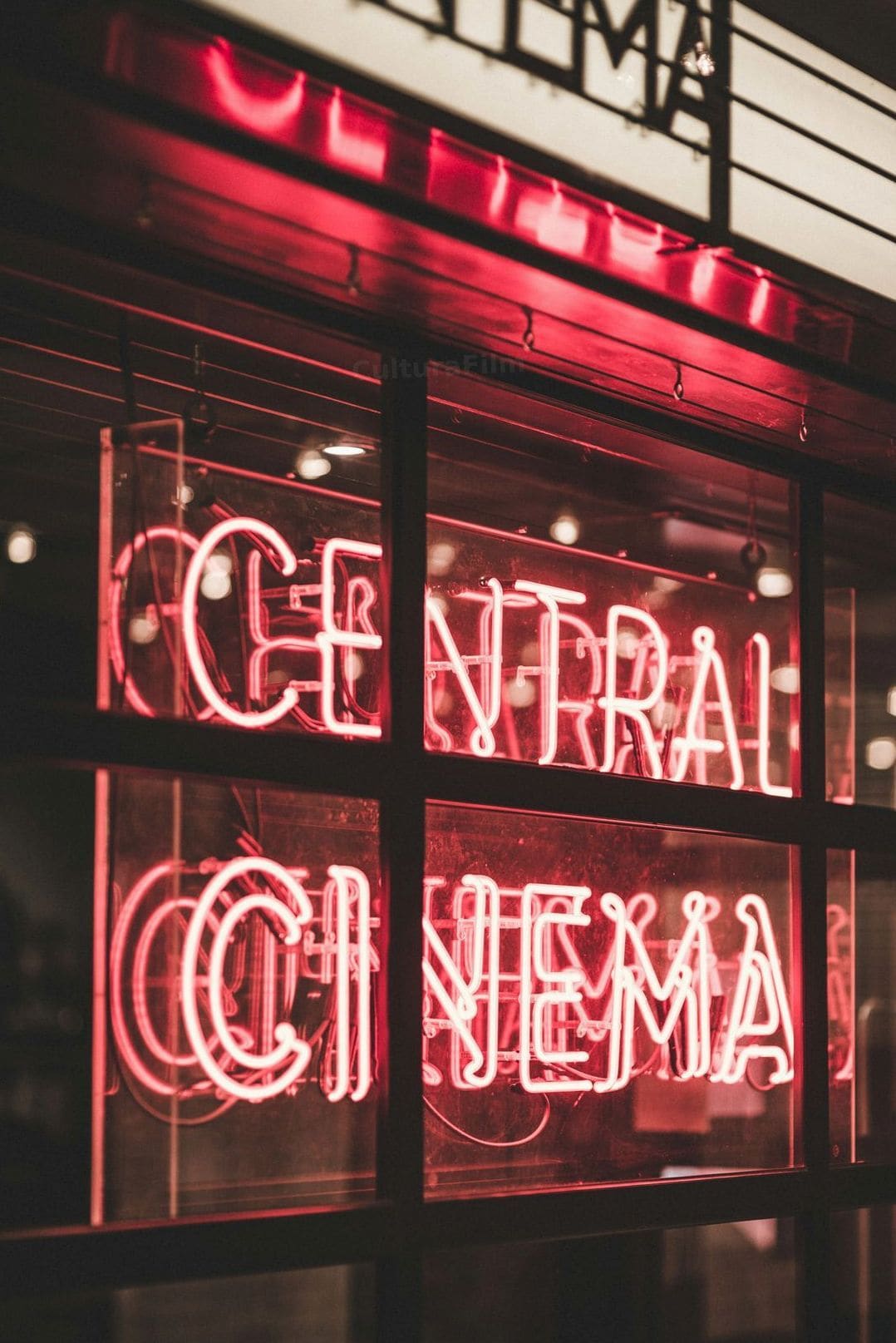 CulturaFilm 15